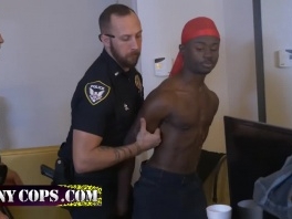 Red hat black thug rides gay cops cocks to avoid arrest picture slut