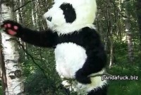 Innocent teen fetish fucking with a big panda